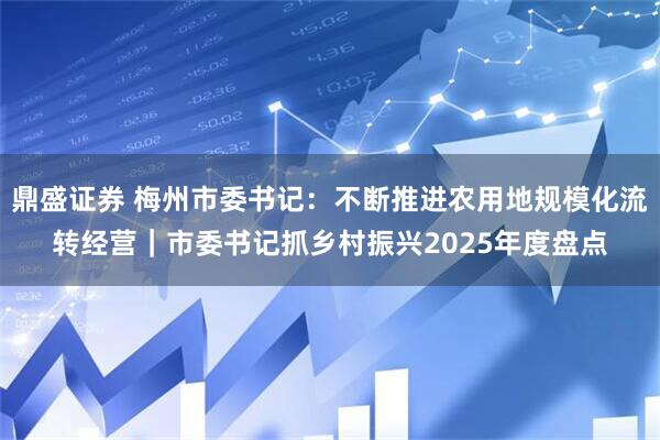 鼎盛证券 梅州市委书记：不断推进农用地规模化流转经营｜市委书记抓乡村振兴2025年度盘点