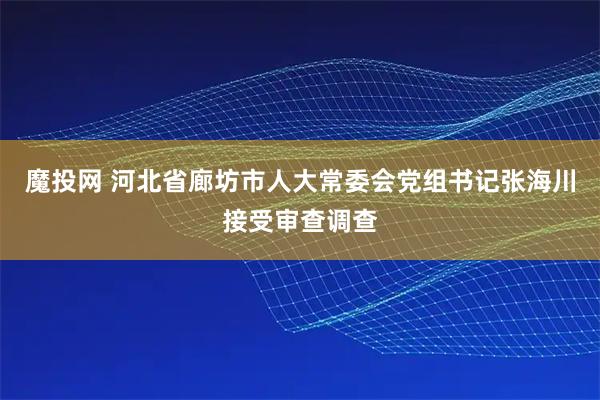 魔投网 河北省廊坊市人大常委会党组书记张海川接受审查调查
